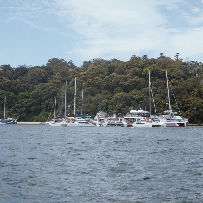 A cluster of boats is anchored near a densely wooded shoreline, under a partly cloudy sky, perfect for corporate boat events Sydney.