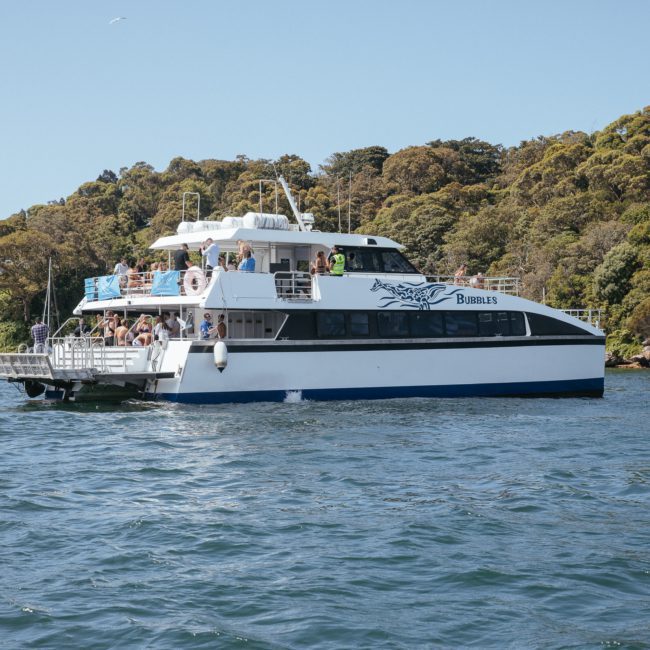 A white and blue passenger ferry with people on board is sailing near a forested shoreline on a sunny day, reminiscent of a private yacht charter Sydney Harbour.