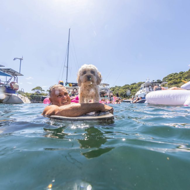 A person in the water holds a small dog on a flotation device, surrounded by luxury yacht hire Sydney options and other people enjoying the sunny day.