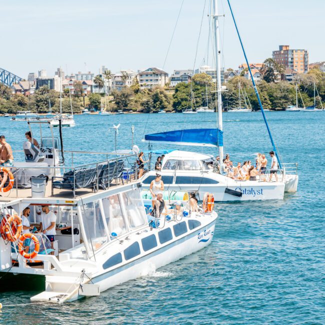 Two boats filled with people enjoying a sunny day on the water in Sydney Harbour, with a cityscape and bridge visible in the background. Perfect for private yacht charters or corporate boat events.