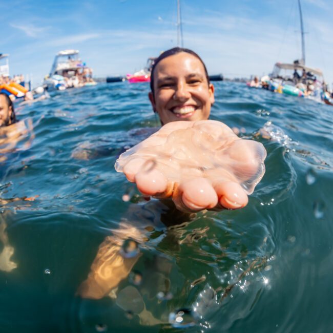 Person in the water holding a jellyfish, surrounded by others swimming and boats in the background. The sky is clear and sunny, perfect for a catamaran party in Sydney.