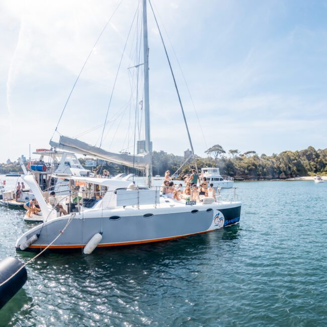 A white catamaran with people on board is anchored in a calm bay alongside several other boats. Trees and buildings are visible in the background, perfect for a luxury yacht hire Sydney experience.