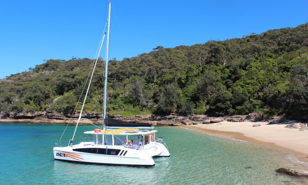 A white catamaran named "Tiger" is anchored in clear, turquoise water near a small, sandy beach. Lush, green trees cover the hilly landscape in the background beneath a bright blue sky. The tranquil setting suggests paradise.