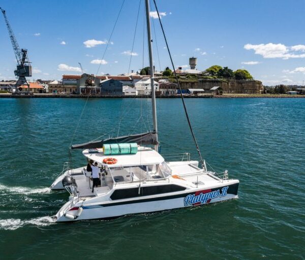 A white catamaran named Platypus II sails on a calm body of water under a clear blue sky, perfect for The Yacht Social Club Event Boat Charters. Two people are visible on the boat. The background features a shoreline with an industrial area, buildings, and a crane.