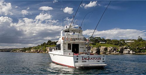 A white fishing boat named "Yackatoon" is anchored in calm waters near a rocky coastline. The boat has fishing rods and antennas mounted on top, set against a backdrop of a partly cloudy sky and greenery on the shore. Discover more with Luxury Yacht Rentals Sydney.