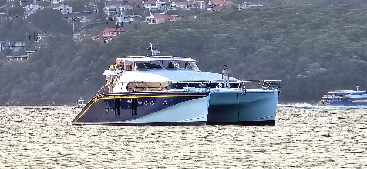 A modern catamaran with a white and blue hull is anchored in the water. In the background, a hillside covered with trees and houses and another boat speeding by can be seen. The sky is clear, creating a serene coastal scene.