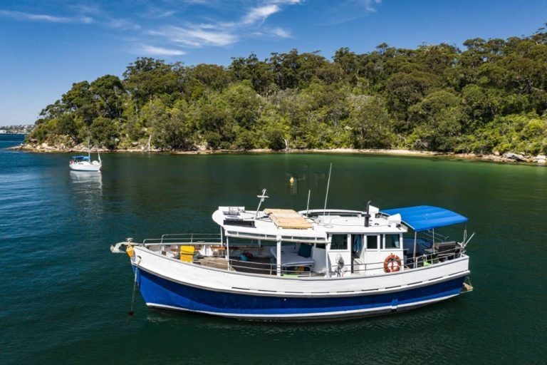 A blue and white boat floats on calm, green water near a forested shoreline under a clear blue sky. Another smaller boat is visible in the background. Trees cover the land in the distance, creating a serene and lush environment perfect for luxury yacht rentals Sydney adventures with The Yacht Social Club.