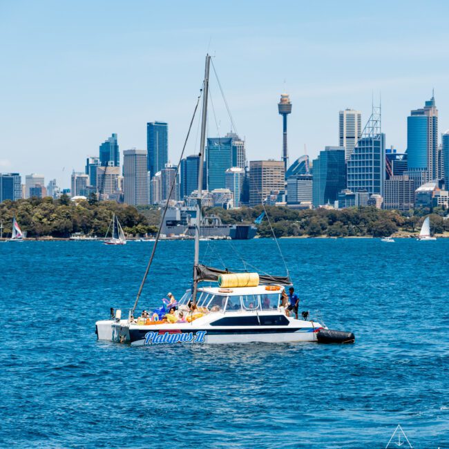 A catamaran named "Platypus II" with people on board sails on a body of water with a city skyline in the background, including a prominent tower. The logo "Yacht Social Club" is in the bottom right corner.