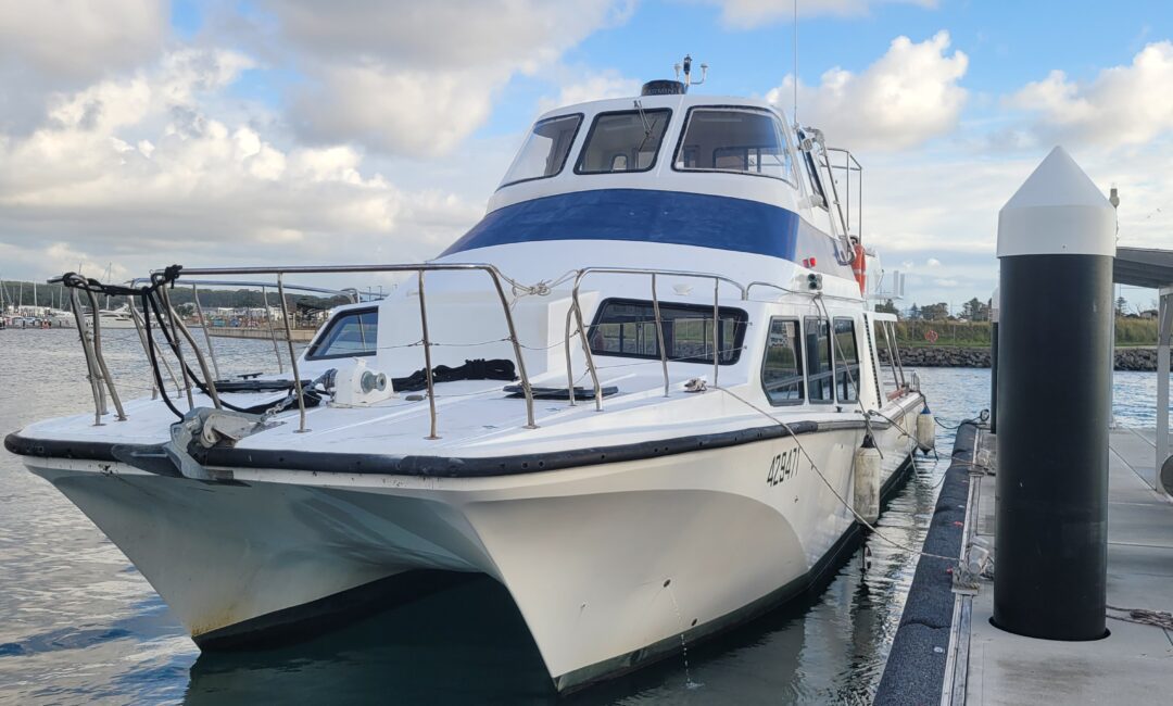 A white catamaran with two decks is docked at a marina. The boat is tied to a pier, with water and a cloudy sky in the background. Other boats and a shore are visible in the distance.