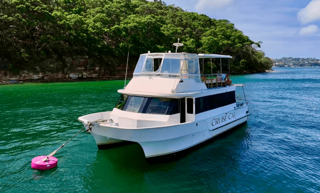 A white catamaran named "CRUISE CAT" is anchored on clear turquoise water near a lush, green shoreline under a sunny, blue sky.