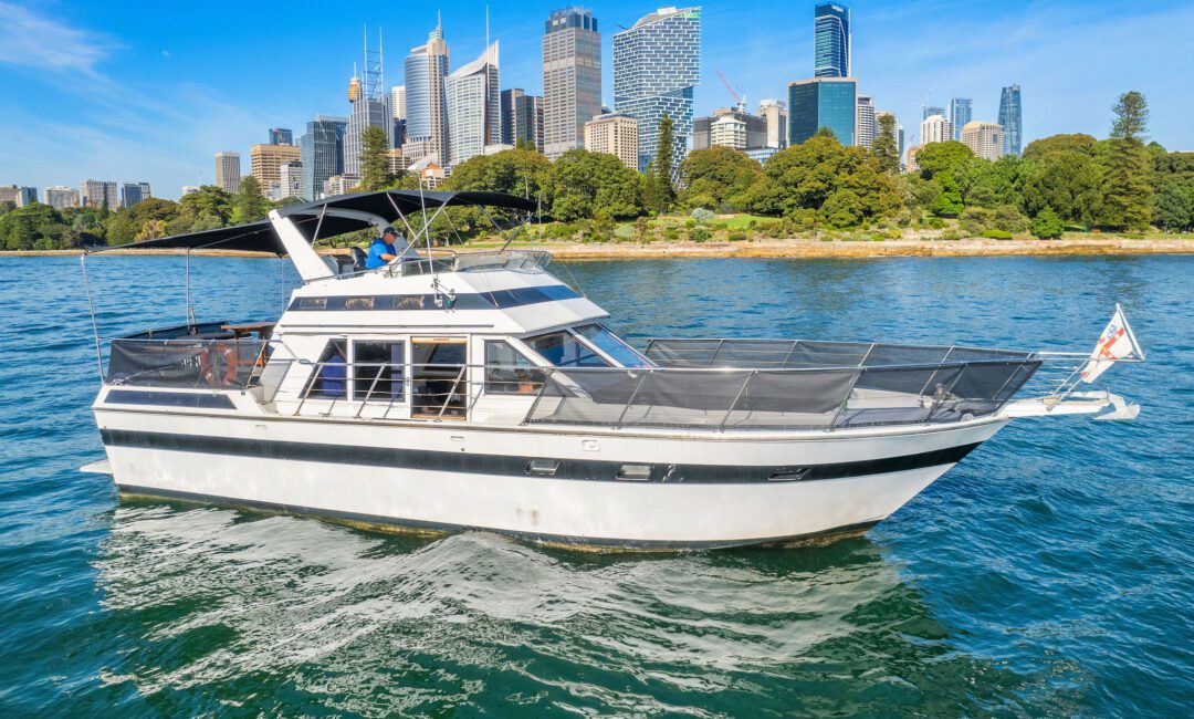 A white and black yacht sails on blue water with a city skyline and green trees in the background under a bright blue sky.