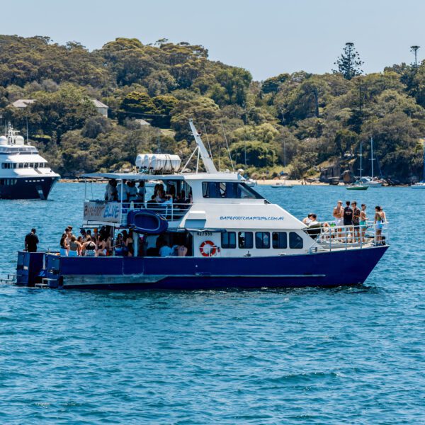A blue and white party boat filled with people is cruising on a sunny day, surrounded by clear blue water and other boats, with green trees and houses visible on the shoreline in the background.