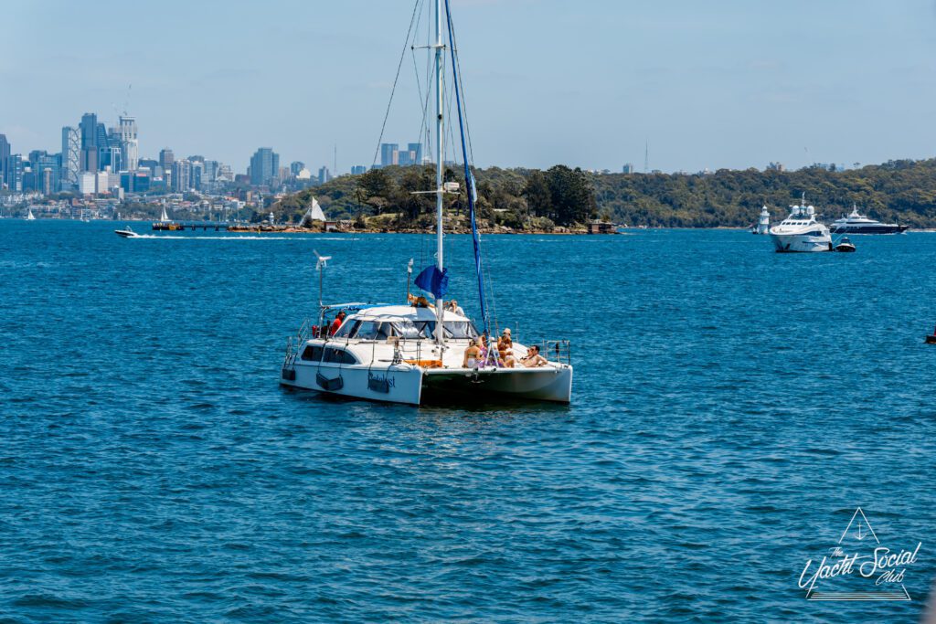 A white catamaran with people relaxing on deck sails on blue water, with several boats and yachts nearby. A small green island and a city skyline are visible in the background under a clear sky.