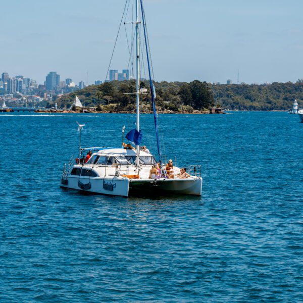 A white catamaran with people relaxing on deck sails on blue water, with several boats and yachts nearby. A small green island and a city skyline are visible in the background under a clear sky.