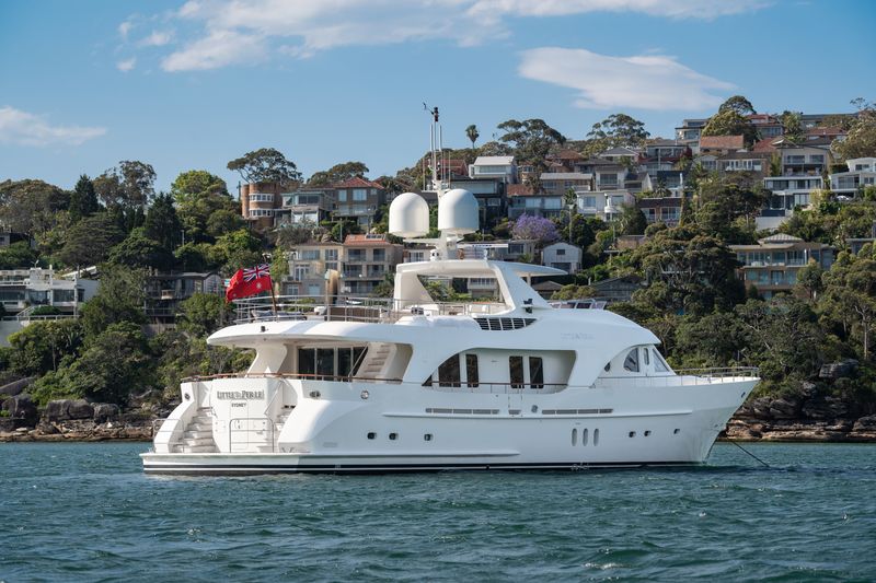 A large white luxury yacht is anchored on calm water, with modern hillside houses and lush greenery in the background under a partly cloudy sky.
