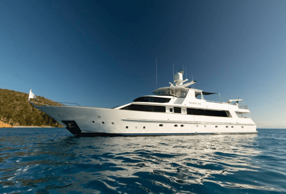 The Phoenix One, a large white yacht, is anchored on calm blue water near a tree-lined shoreline beneath a clear, sunny sky.