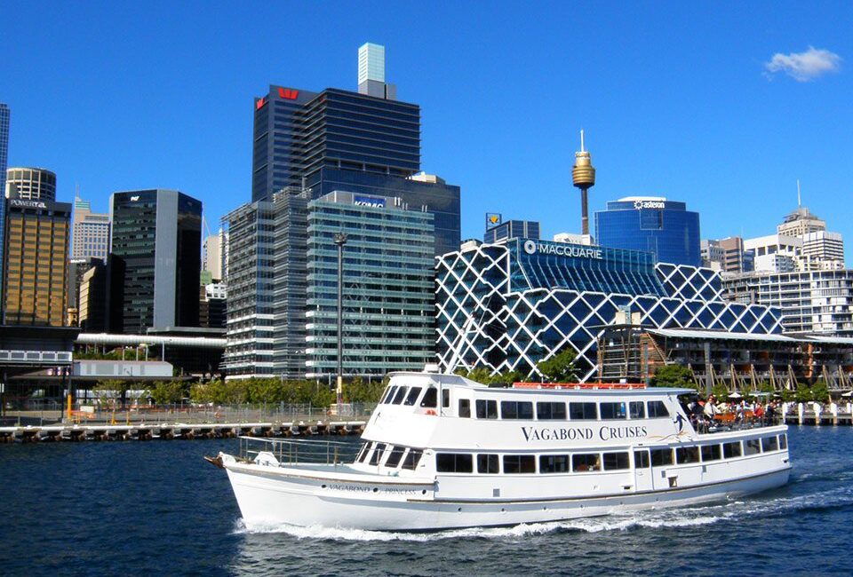 A white Vagabond Cruises boat sails on blue water in front of modern city buildings, with the Sydney Tower and a blue sky in the background.