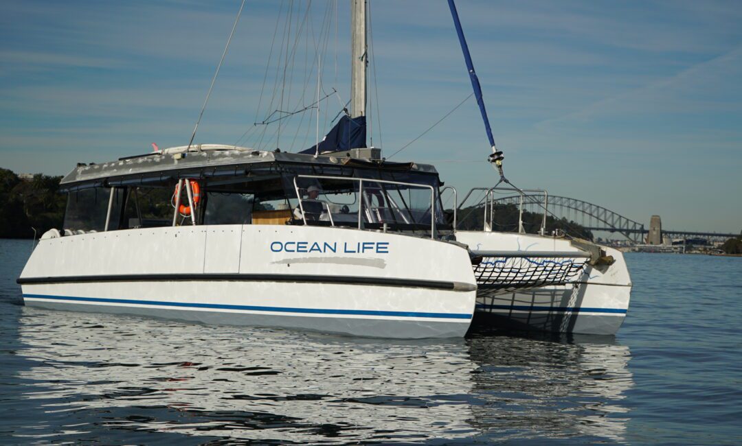 A white catamaran named "Ocean Life" floats on calm water with a city bridge and shoreline visible in the background under a clear blue sky.