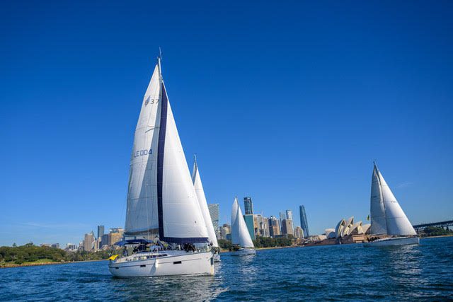 Several sailboats glide on blue water near the Sydney Opera House and city skyline, under a clear blue sky. The sails are full and the scene is bright and lively.