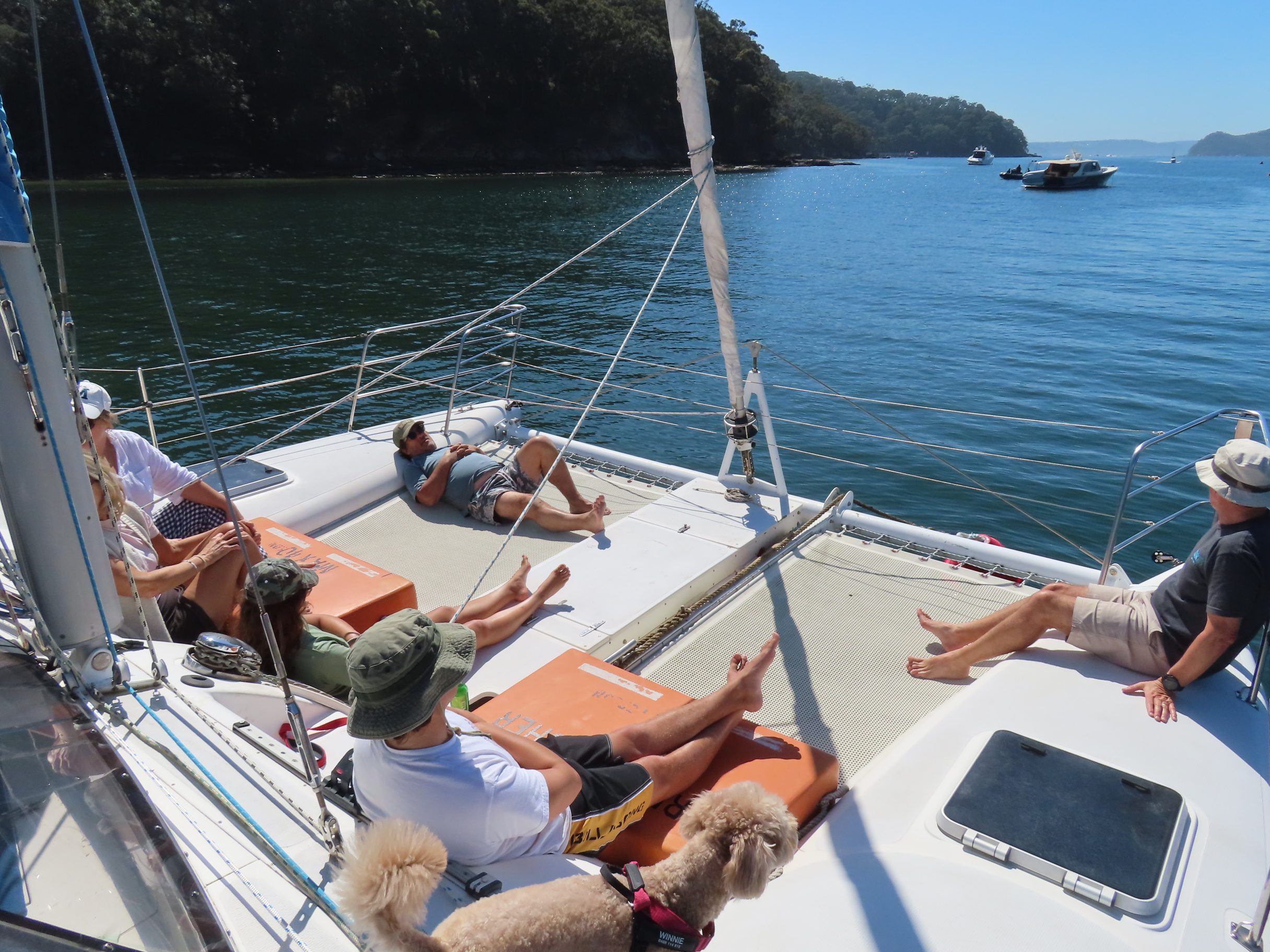 People relax on the deck of a sailboat in sunny weather, with a dog in the foreground and calm blue water and forested hills in the background. Other boats are visible on the water.