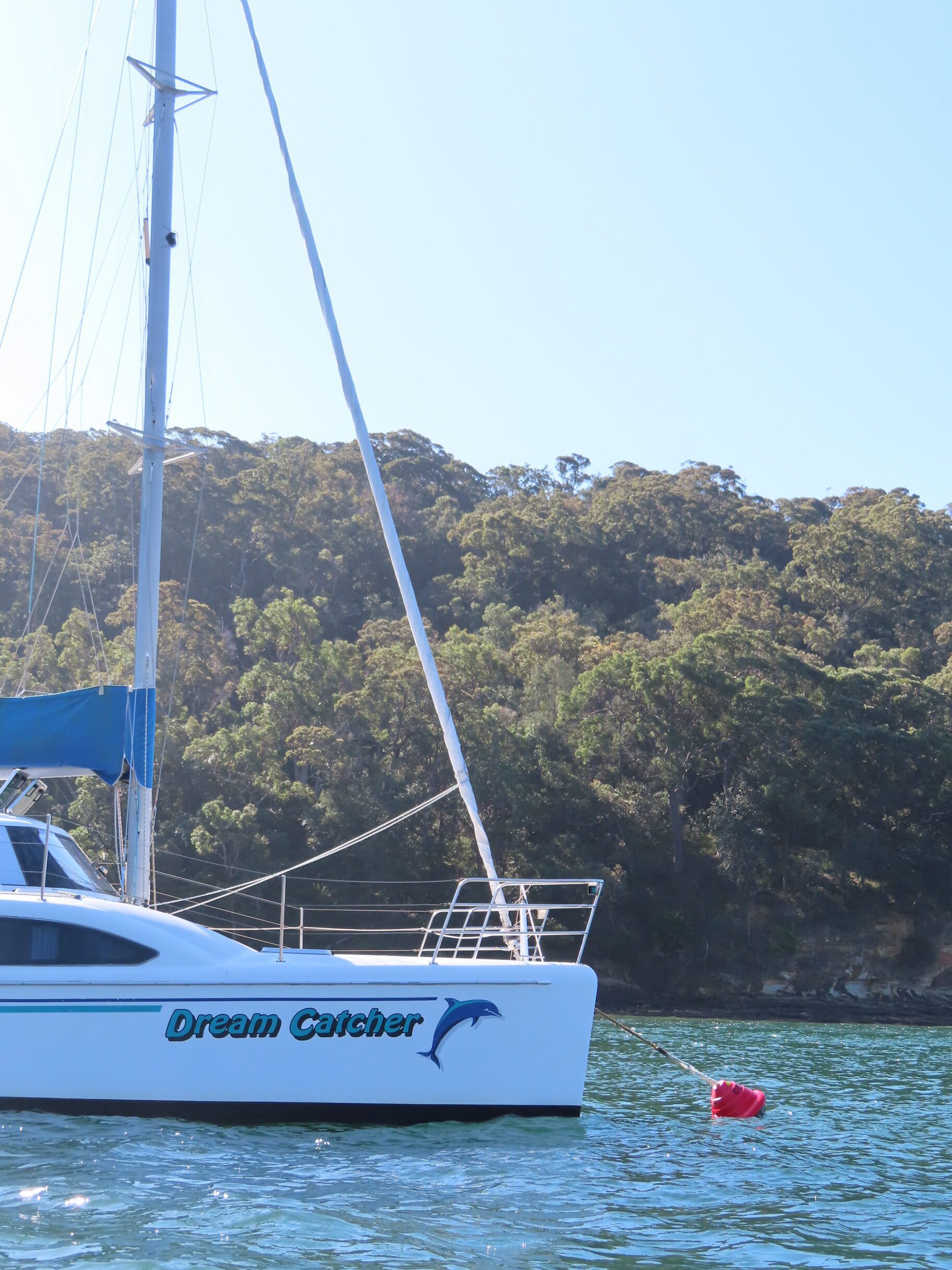A white sailboat named "Dream Catcher" with a dolphin graphic is anchored in calm water near a forested shoreline under a clear sky.