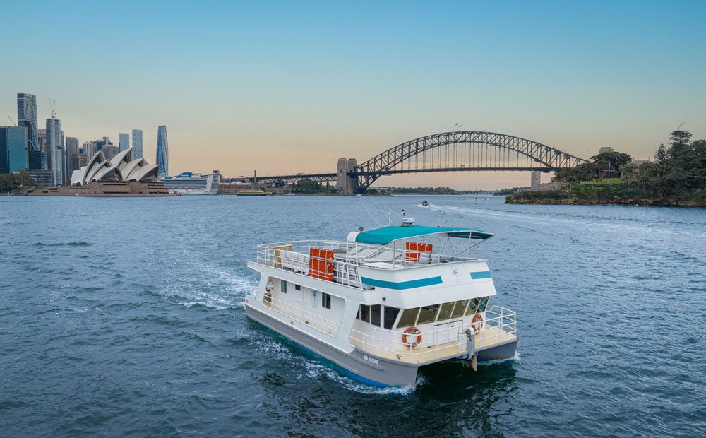 The Carribean Cat, in white, sails on Sydney Harbour with the Opera House and Harbour Bridge in the background under a clear sky.