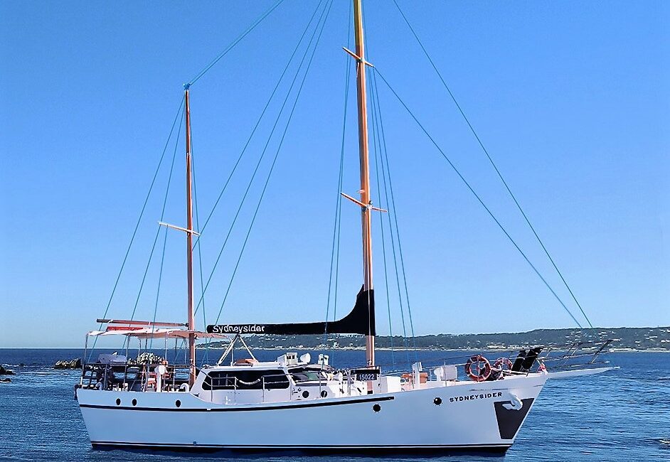 A white sailing yacht with orange masts floats on calm blue water under a clear sky. The yacht is named "SydneySider," and distant land is visible in the background.