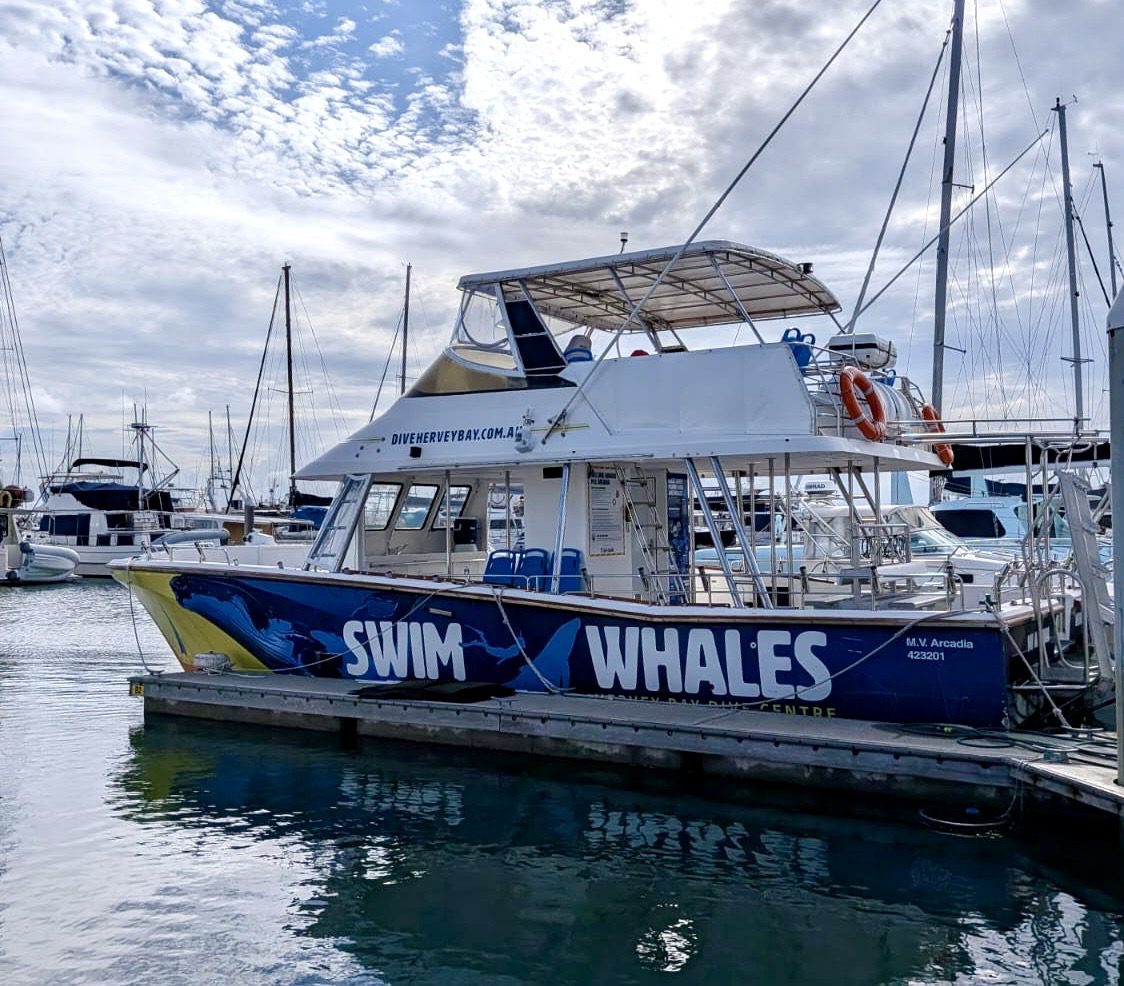 A docked boat named Arcadia, with whale graphics and “SWIM WHALES” painted on its side, is moored at a marina among other boats under a partly cloudy sky.