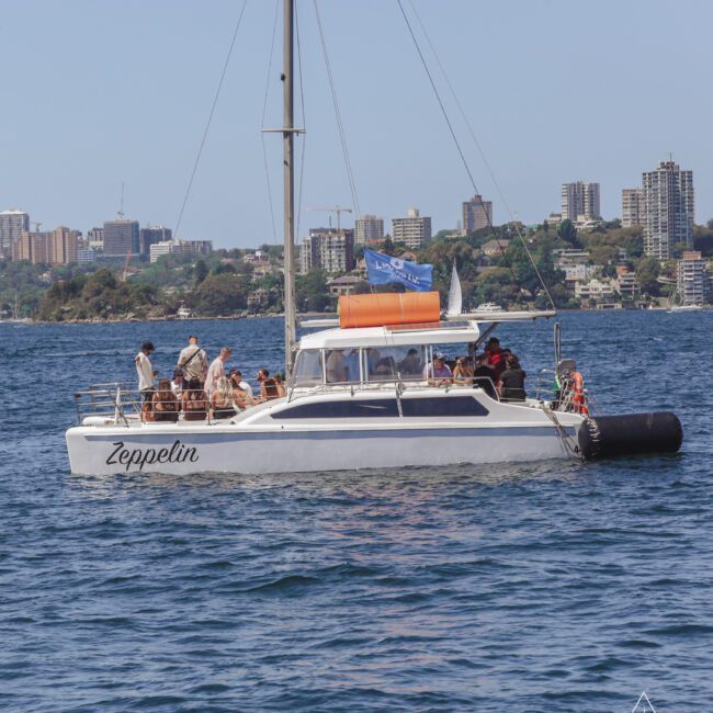A white catamaran named “Zeppelin” with people on board is floating on calm blue water, with a city skyline and green trees visible in the background under a clear sky.