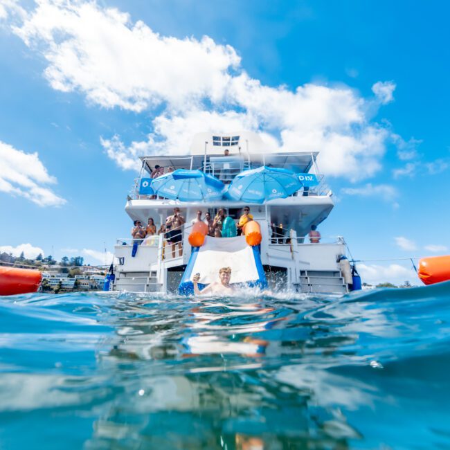 A group of people enjoy a sunny day on a yacht, with one person sliding down into the blue water. Bright orange buoys float nearby, and the sky is clear with scattered clouds. The Yacht Social Club logo is visible.